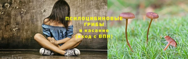 дурь Алзамай