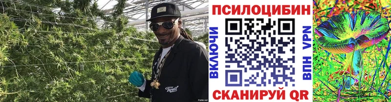 дарк нет наркотические препараты  Кирс  Псилоцибиновые грибы мицелий  дарнет шоп  гидра сайт 